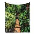 thumbnail image 1 of Peace Garden Soft Flannel Fleece Throw Blanket, Garden with Tropical Plants and Wooden Path Tranquility Harmony Theme, Cozy Plush for Indoor and Outdoor Use, 50" x 70", Green Pale Brown, by Ambesonne, 1 of 5