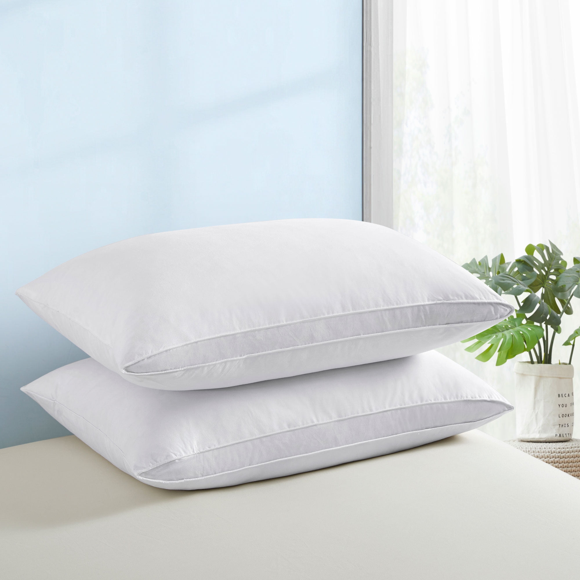 Standard White Cotton Goose Feather Down Pillows 2-Pack