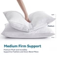 thumbnail image 1 of Peace Nest 2 Pack White Oval Gusseted Goose Feather Down Pillows with 100% Cotton Cover, Queen Bed Pillows, 1 of 4