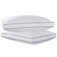 Peace Nest White Feather & Down Gusset Standard/Queen Pillow Set of