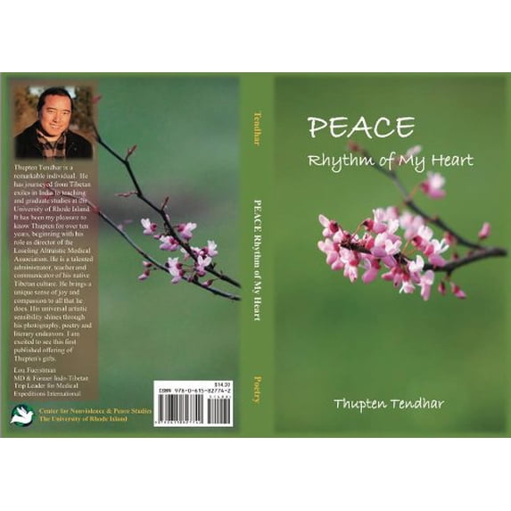 Pre-Owned Peace : Rhythm of My Heart (Paperback) 0615827748 9780615827742