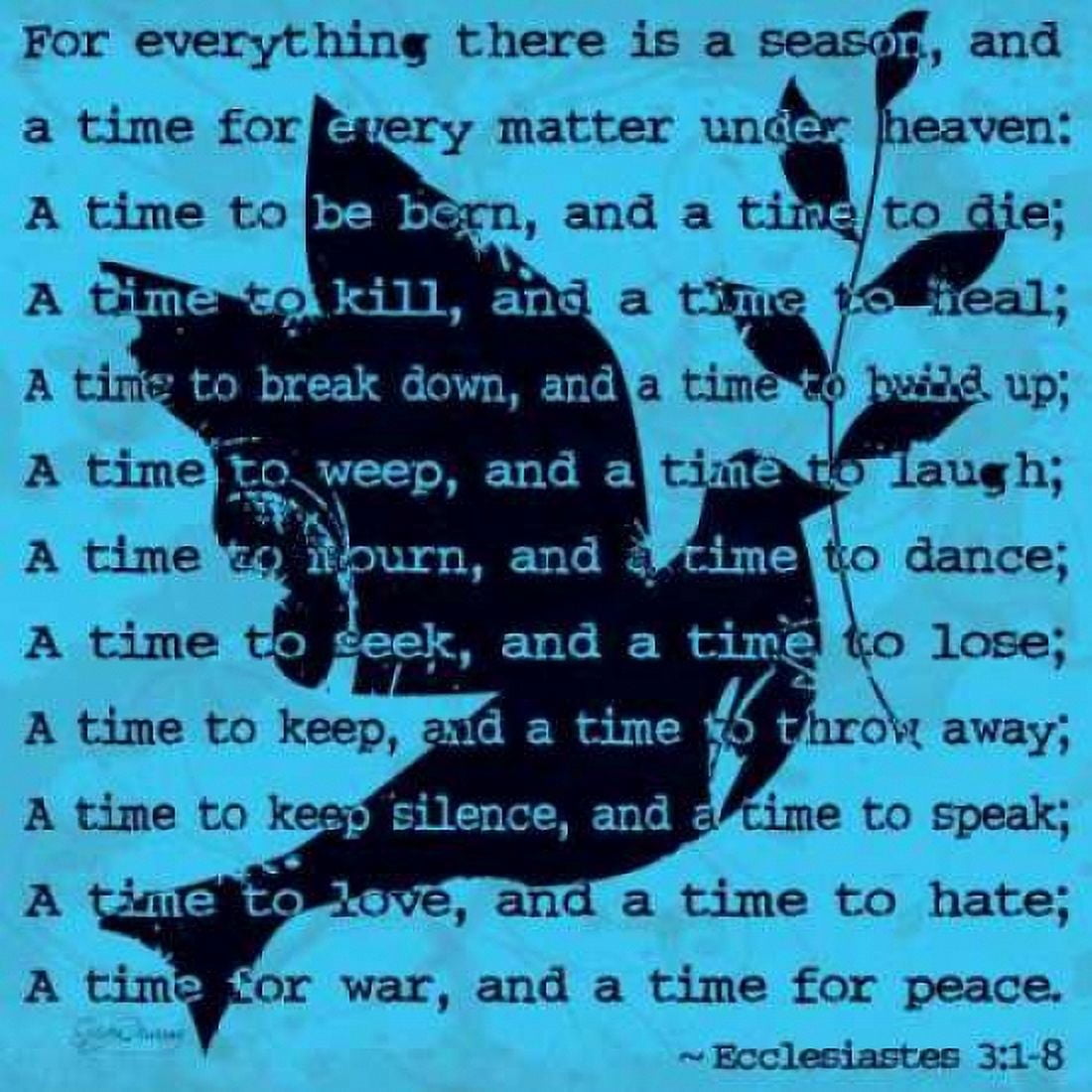 Peace Sign I Canvas Art - Sylvia Murray (24 x 24)