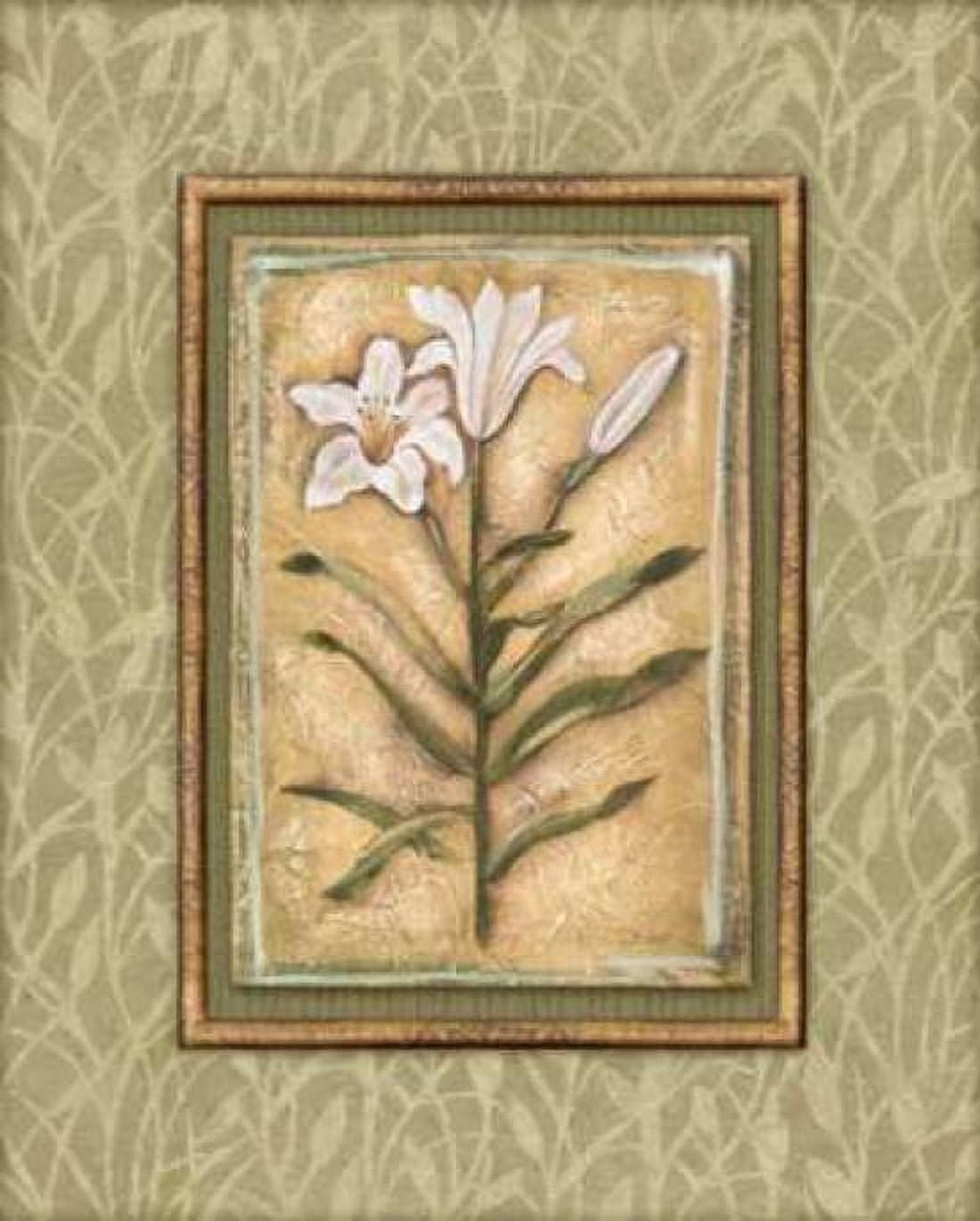 Peaceful Flowers II Canvas Art - Charlene Audrey (22 x 28)
