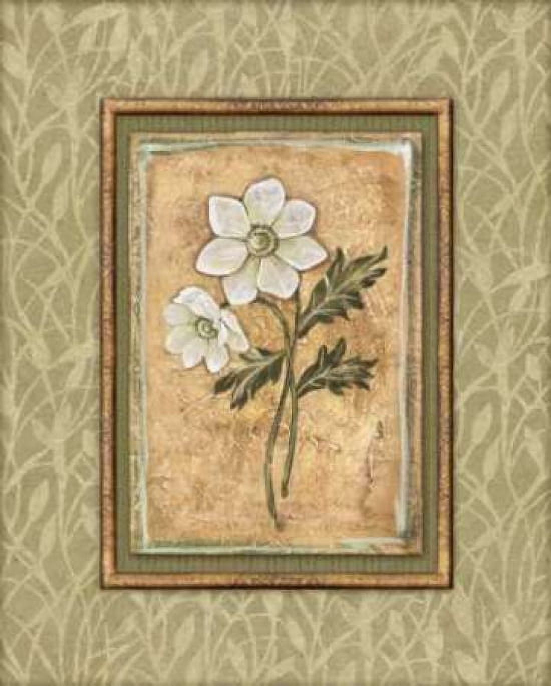 Peaceful Flowers III Canvas Art - Charlene Audrey (22 x 28)