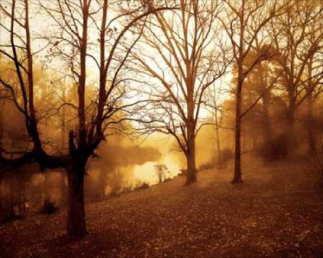 Peaceful I Canvas Art - Alan Hausenflock (24 x 30)