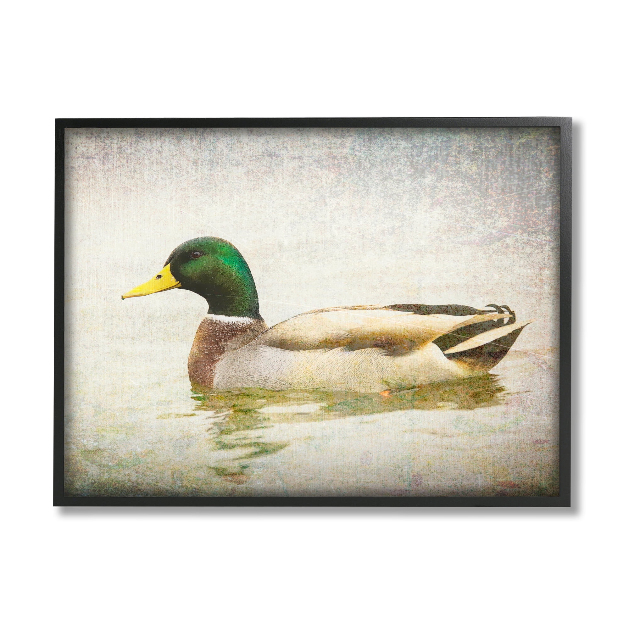 Peaceful Mallard Duck Bird Swimming Water Detailed Framed Canvas Print