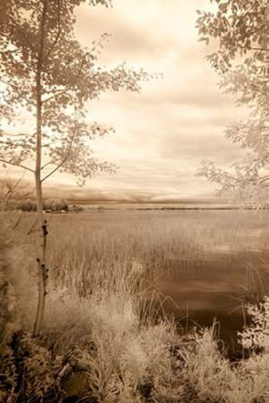 Peaceful Morning I Canvas Art - Monte Nagler (12 x 18)