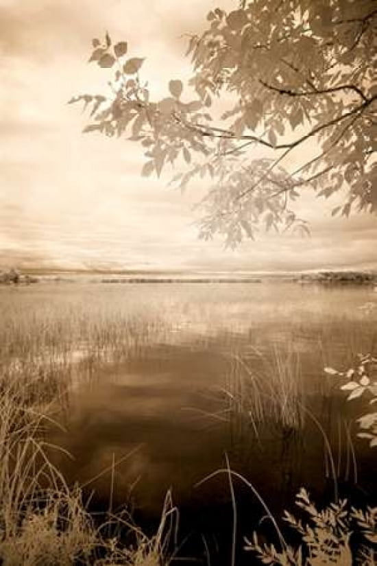 Peaceful Morning II Canvas Art - Monte Nagler (24 x 36)