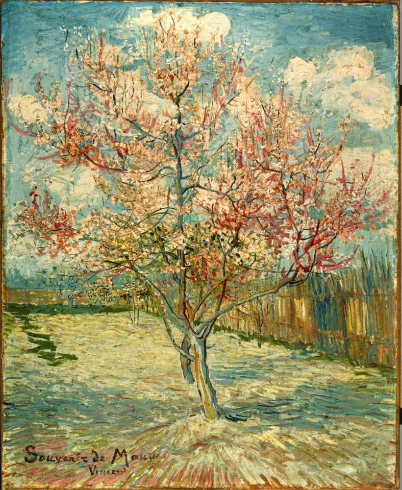 Peach Blossoming (Souvenir De Mauve) Canvas Art - (18 x 24)