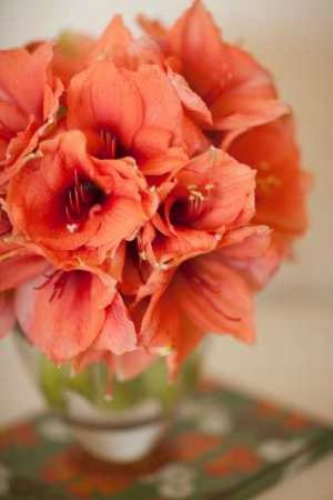 Peach Bouquet Canvas Art - Karyn Millet (24 x 36)