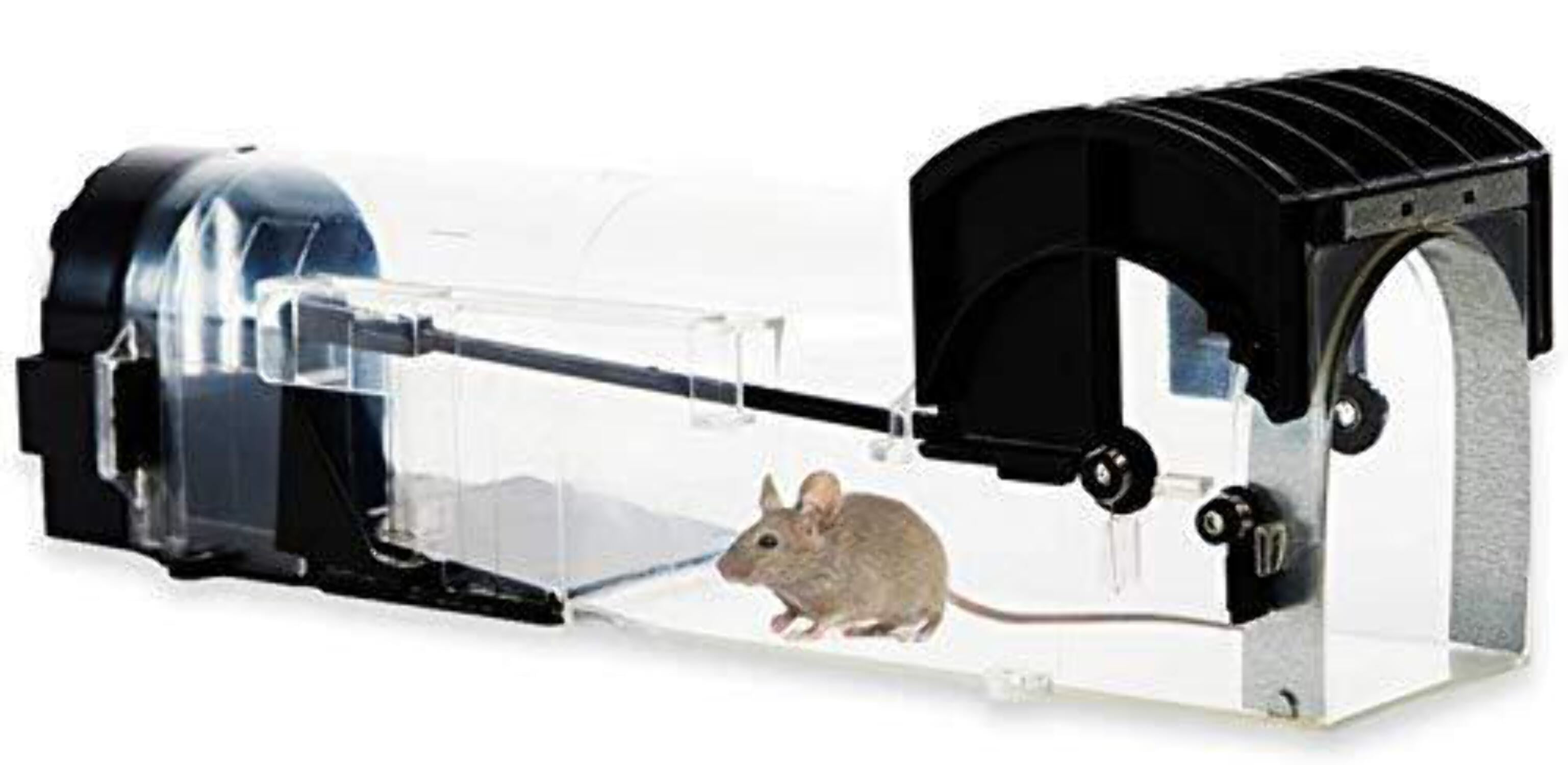 Reusable Smart Mouse Trap Humane Clear Plastic Smart No Kill