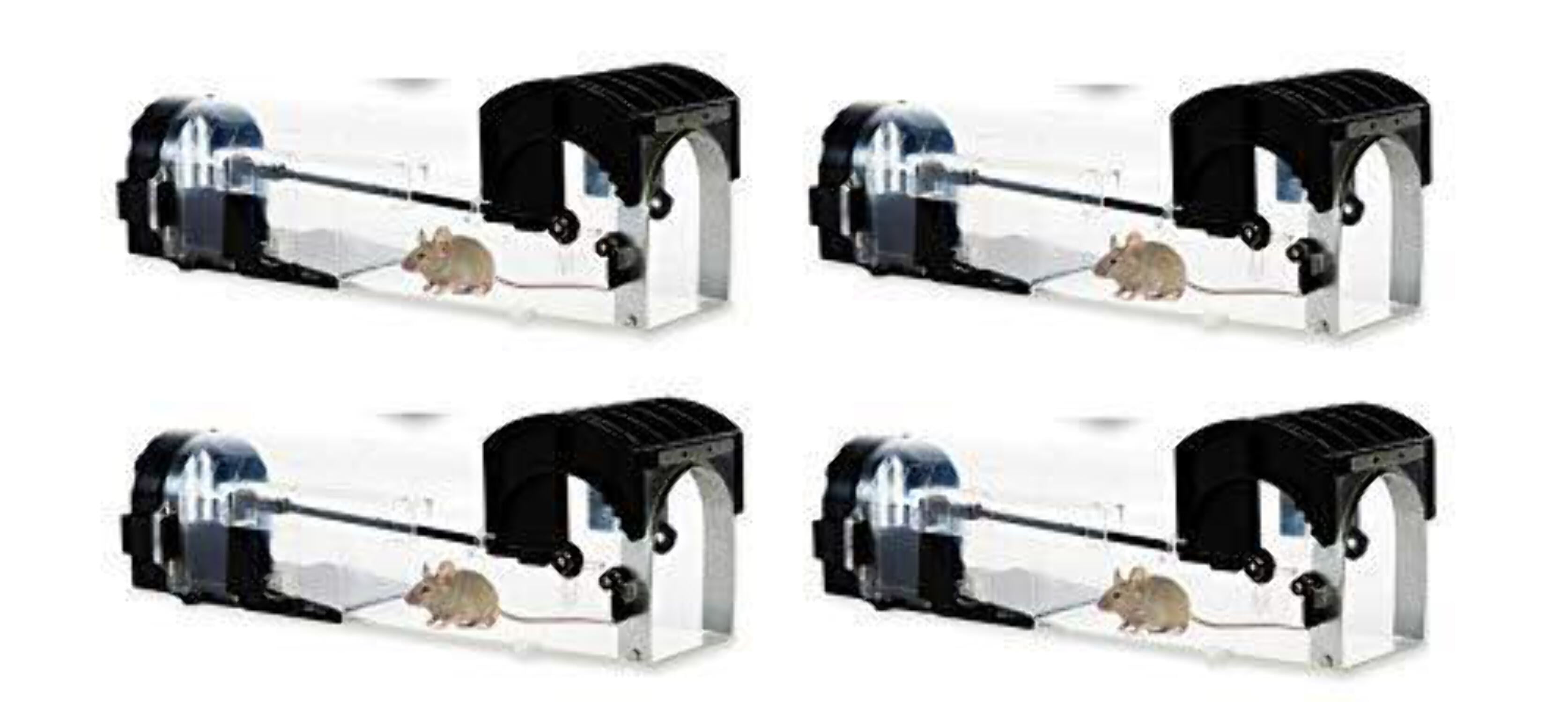 Buy Wholesale China Humane Automatic Multi-catch Metal Rat Rodent Control Live  Catch Mouse Trap Cage & Live Mouse Trap at USD 11.8