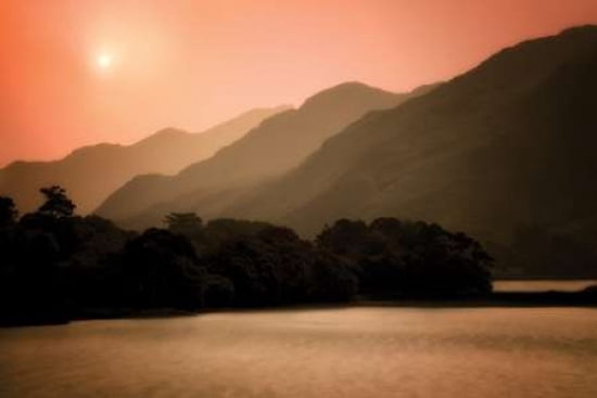 Peach Dream Canvas Art - Dennis Frates (20 x 28)