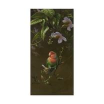 Peach Faced Lovebird 1' Canvas Art by Michael Jackson