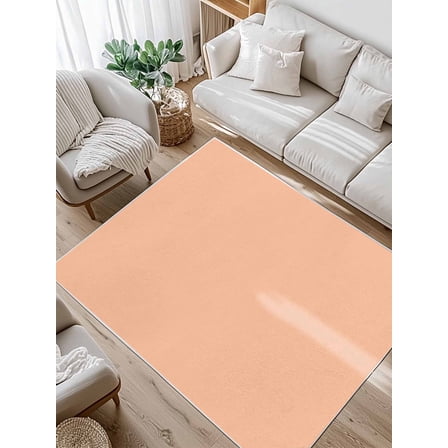Peach Fuzz Area Rug for Bedroom 4x6 Ft Coral Solid Color Super Soft fuzzy Throw Rug Non-Slip Fluffy Plush Indoor Floor Carpet for Living Room Nursery Home Decor