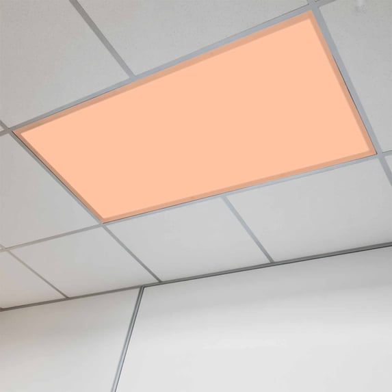 Peach Fuzz Magnetic Fluorescent Light Covers for Ceiling Lights 2 x 4 Feet, Modern Pure Peach Fuzz Office Classroom Kitchen Drop Ceiling Light Covers Lighting Filters Shade Panel 1 Pack