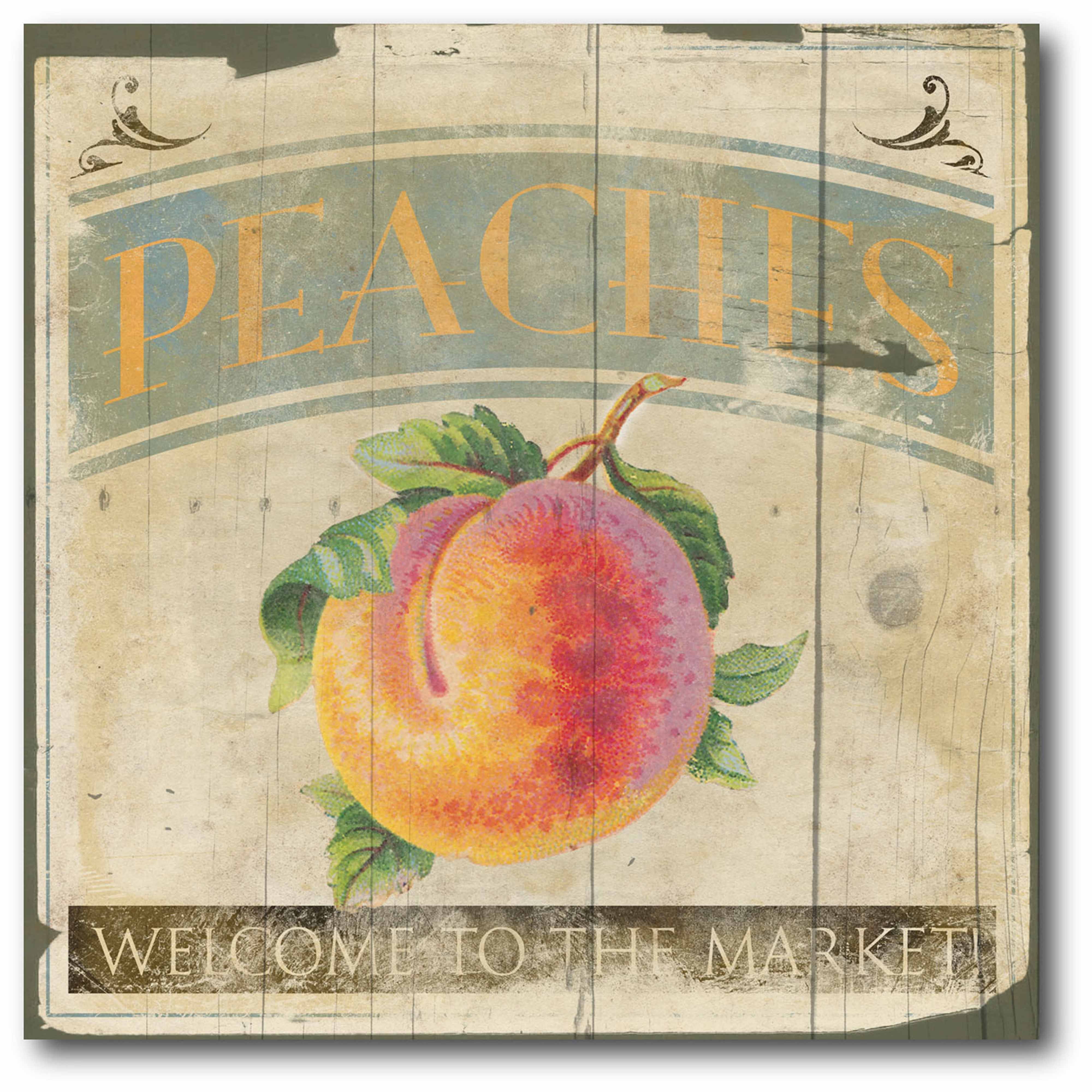 Peach Gallery-Wrapped Canvas Wall Art, 16x16
