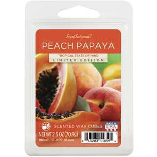 Better Homes & Gardens Peach Scented 13.9oz Ceramic Dip Single-Wick Candle by Dave & Jenny Marrs