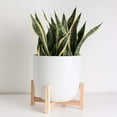thumbnail image 1 of Peach & Pebble 10" White Egg Shaped Planter + Natural Wood Stand, 1 of 3