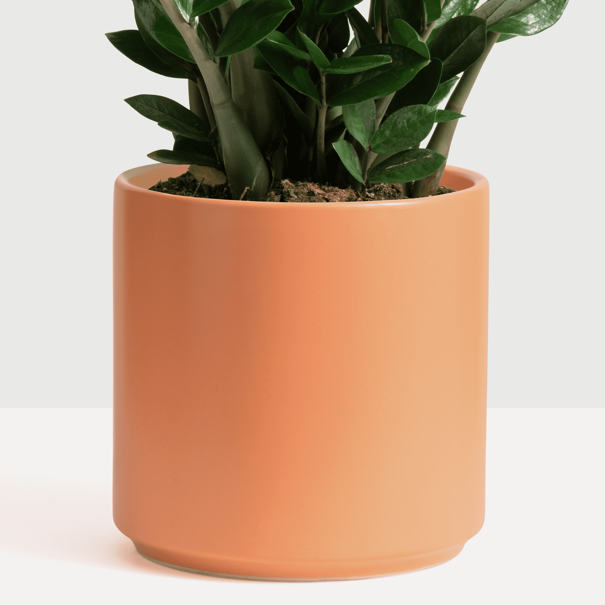 Peach And Pebble Planter