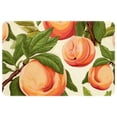 thumbnail image 1 of Peach Polyester Non-Slip Machine Washable Outdoor Carpet Door Mat - Door Rug - Door Rugs, 1 of 6