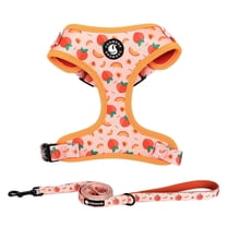 Peach Print Adjustable Dog Harness, Dog Leash, No Pull No Choke Puppy Harnesses for Walking Training for Small Medium Pet