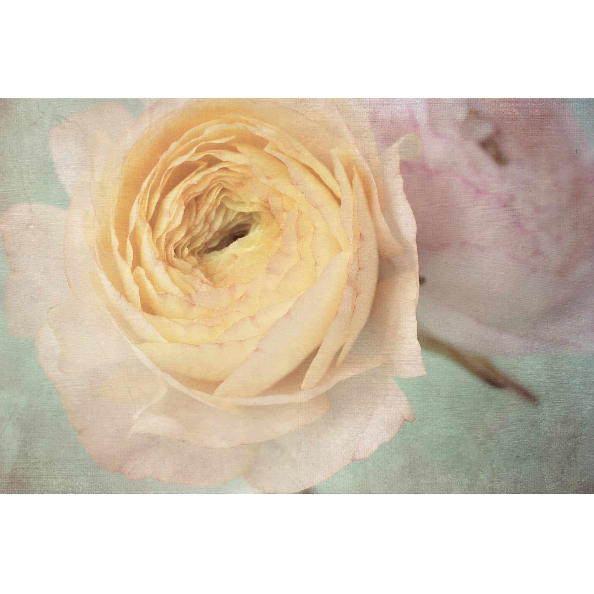 "Peach Ranunculus" Painting Print on Wrapped Canvas