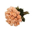 thumbnail image 1 of Peach Roses Gift - Farm Direct Fresh Cut Flowers - 24 Stems, 1 of 6