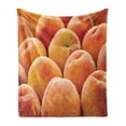 thumbnail image 1 of Peach Soft Flannel Fleece Throw Blanket, Close up Photo of Newly Picked Nutritious Fruit in a Market Fuzzy Skin Taste, Cozy Plush for Indoor and Outdoor Use, 50" x 60", Orange Yellow, by Ambesonne, 1 of 6