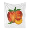 thumbnail image 1 of Peach Soft Flannel Fleece Throw Blanket, Vivid Juicy Fruit for Vegetarian Diet Slice of a Healthy Vitamin Rich Snack, Cozy Plush for Indoor and Outdoor Use, 50" x 60", Vermilion Green, by Ambesonne, 1 of 5
