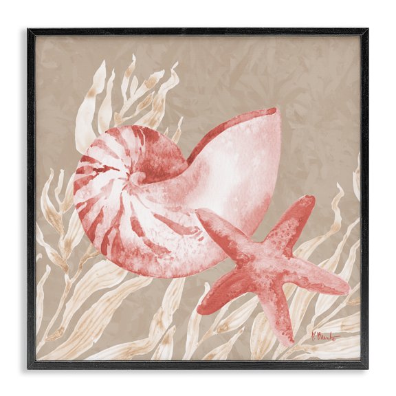 Stupell Industries Peach Tampico Shells Black Framed Giclee Art, design by Paul Brent, 24 x 24