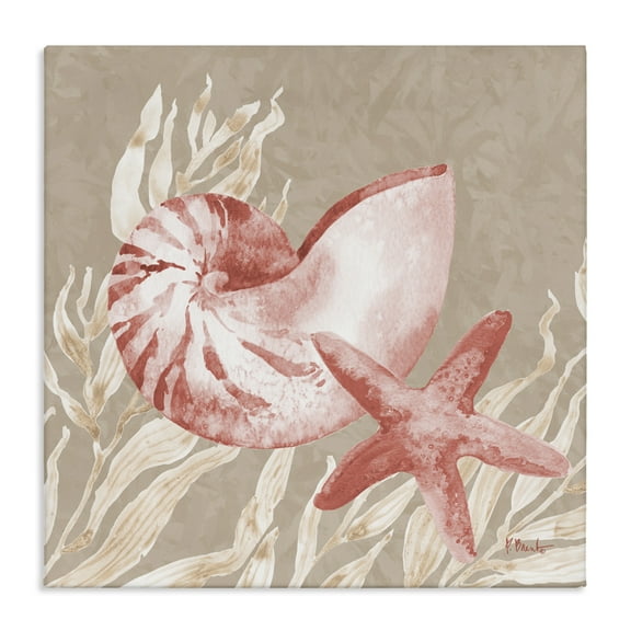 Stupell Industries Peach Tampico Shells Canvas Wall Art, design by Paul Brent, 36 x 36