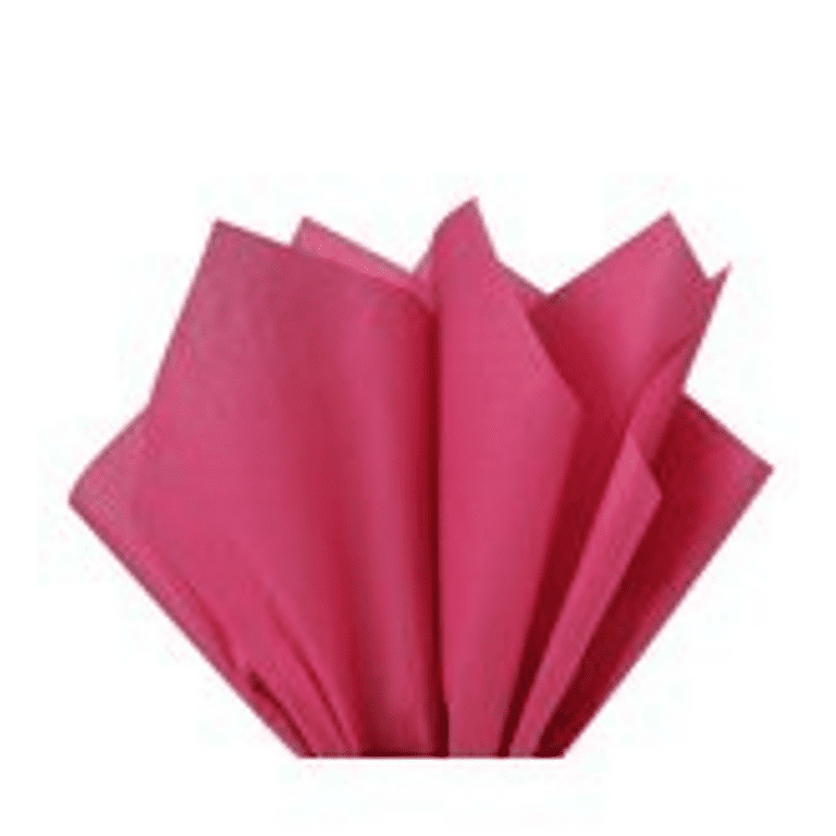 Hot Pink Tissue Paper Squares, Bulk 24 Sheets, Presents by Feronia  packaging, Large 20 Inch x 30 Inch
