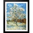 thumbnail image 1 of Peach Trees in Blossom 32x28 Large Black Wood Framed Print Art by Vincent van Gogh, 1 of 2