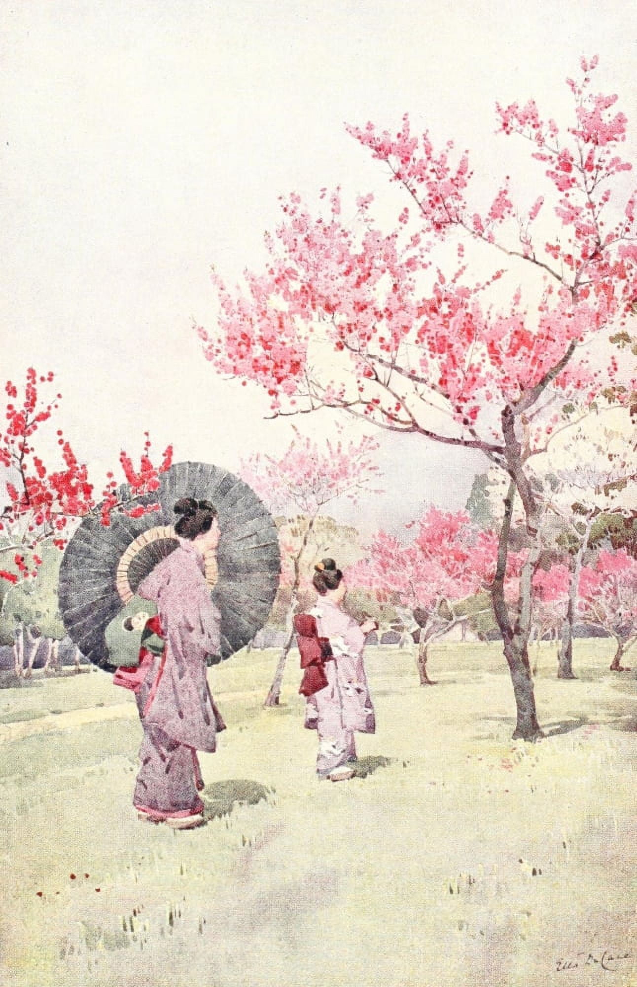 Peach blossom Flowers & Gardens of Japan 1908 Canvas Art - Ella Du Cane (18 x 24)
