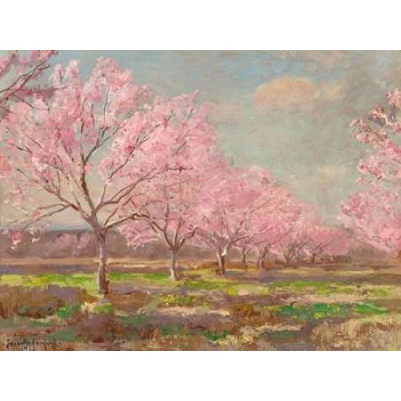 Peach orchard on Mavericks farm Poster Print by Julian Onderdonk (22 x 28)