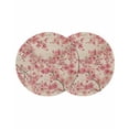 thumbnail image 1 of Peaches Branches Round 13 Inch Placemats Set of 2, Farmhouse Spring Botanical Pink Flowers HeatResistant Non Slip Place Mats for Dining Table, Wipeable Braided Kitchen Table Mats for Housewarming, 1 of 9