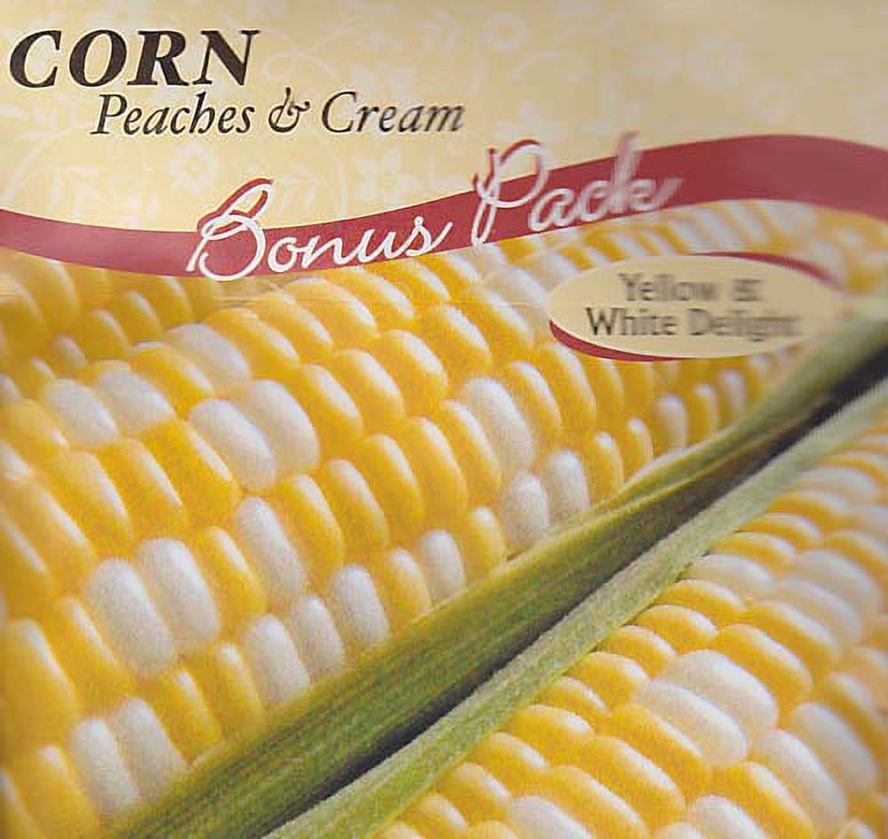 Peaches & Cream Corn Seeds 50 Seeds
