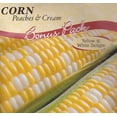 thumbnail image 1 of Peaches & Cream Corn Seeds - 50 Seeds, 1 of 1