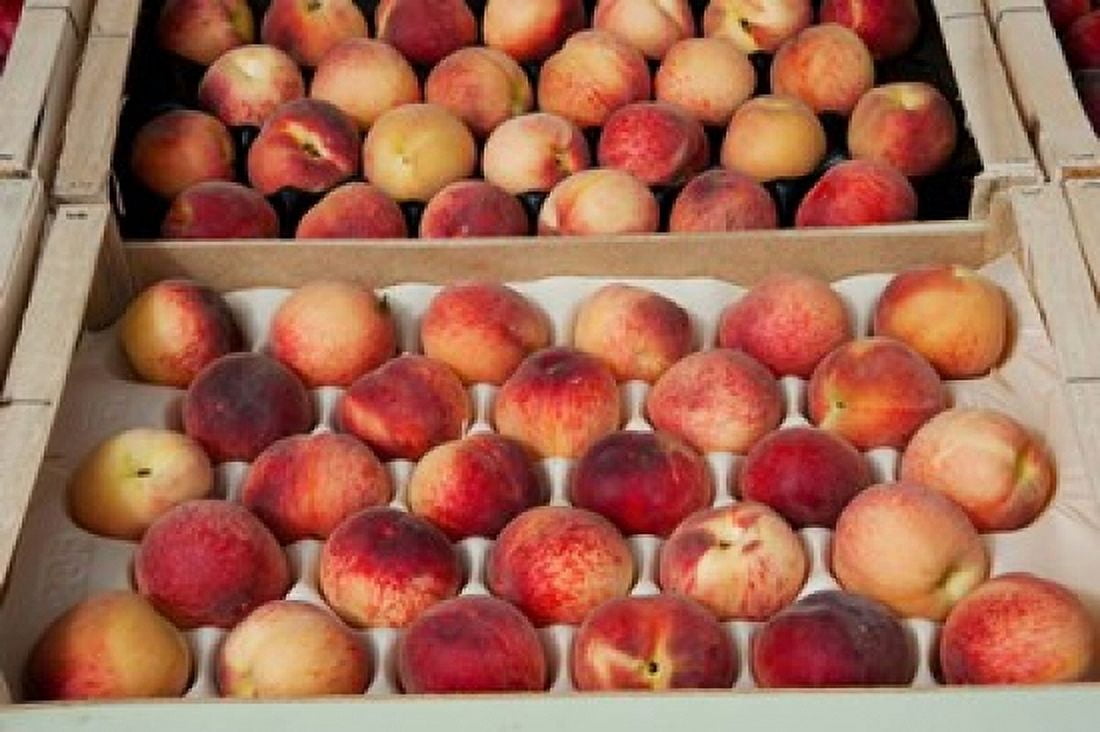 Peaches at a market stall Lourmarin Vaucluse Provence-Alpes-Cote dAzur France Canvas Art - Panoramic Images (36 x 24)