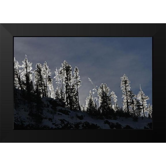 Peaco, Jim 14x11 Black Modern Framed Museum Art Print Titled - Frosted Trees in Gibbon Canyon, Yellowstone National Park
