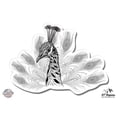thumbnail image 1 of Peacock - 8" Vinyl Sticker - For Car Laptop I-Pad - Waterproof Decal, 1 of 1
