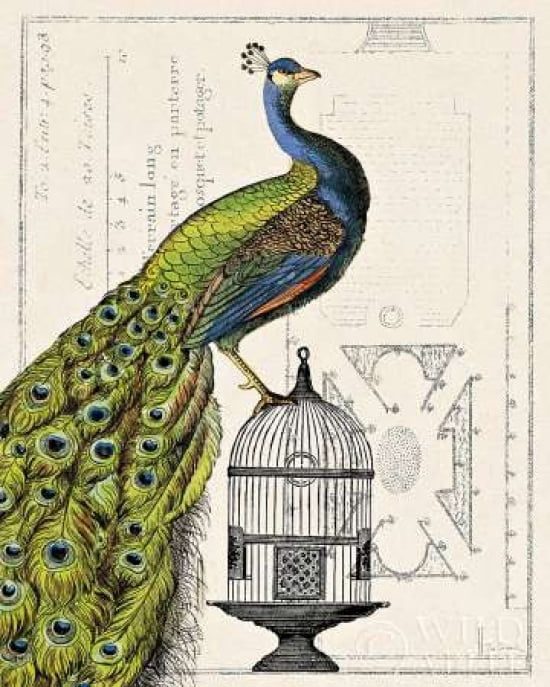 Peacock Birdcage I Canvas Art - Sue Schlabach (24 x 30)