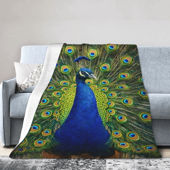 Peacock Blanket Gift Throw Blanket Cozy Soft Colorful Feather Pattern Blanket Gift for Bird Lovers Boho Home Decor 50x40