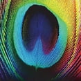 thumbnail image 1 of Peacock (CD), 1 of 1