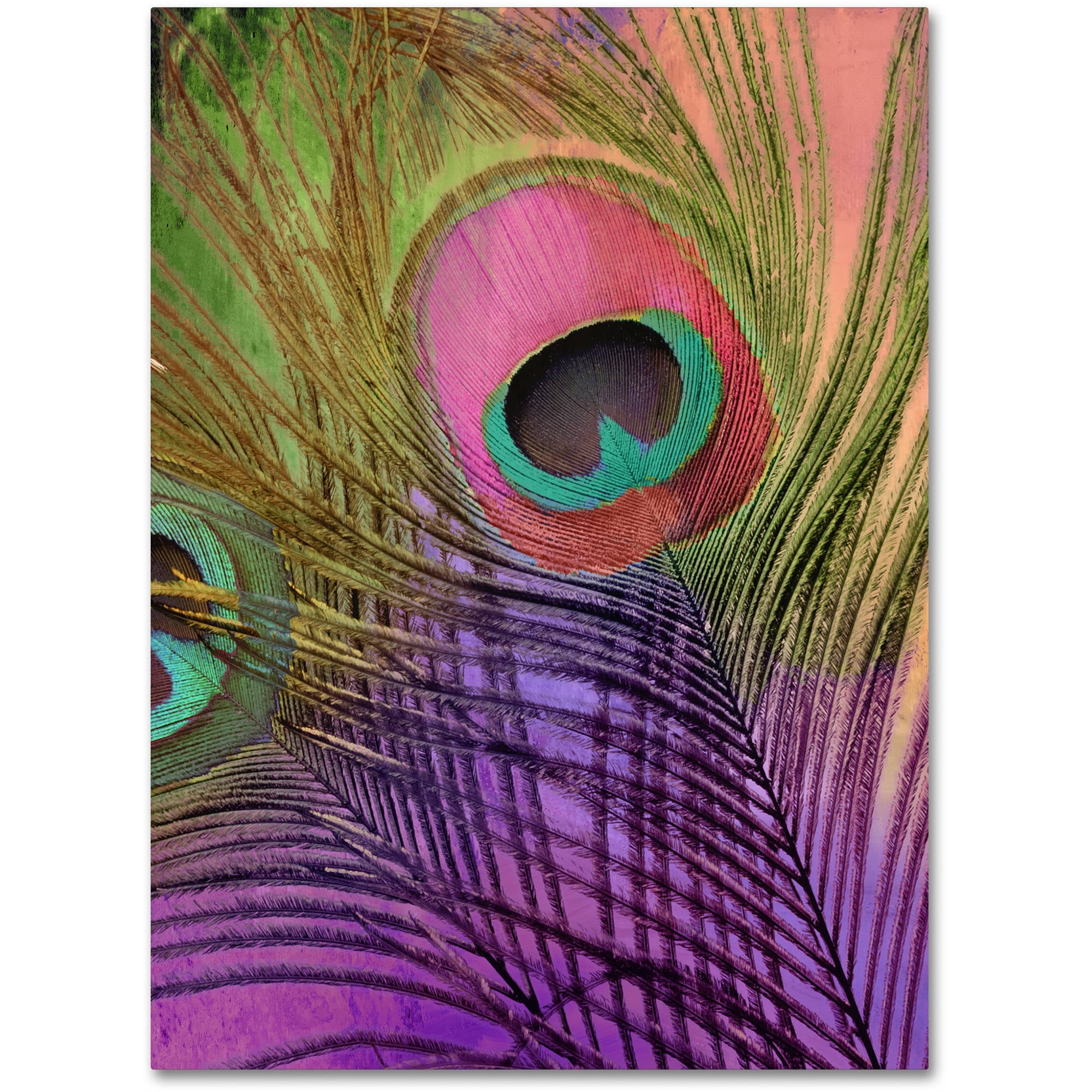 Extravagant Peacock Feather Wall Hanging OR Luxurious Mat for