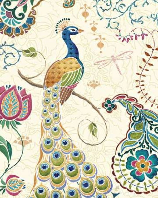 Peacock Fantasy II Canvas Art - Daphne Brissonnet (24 x 30)