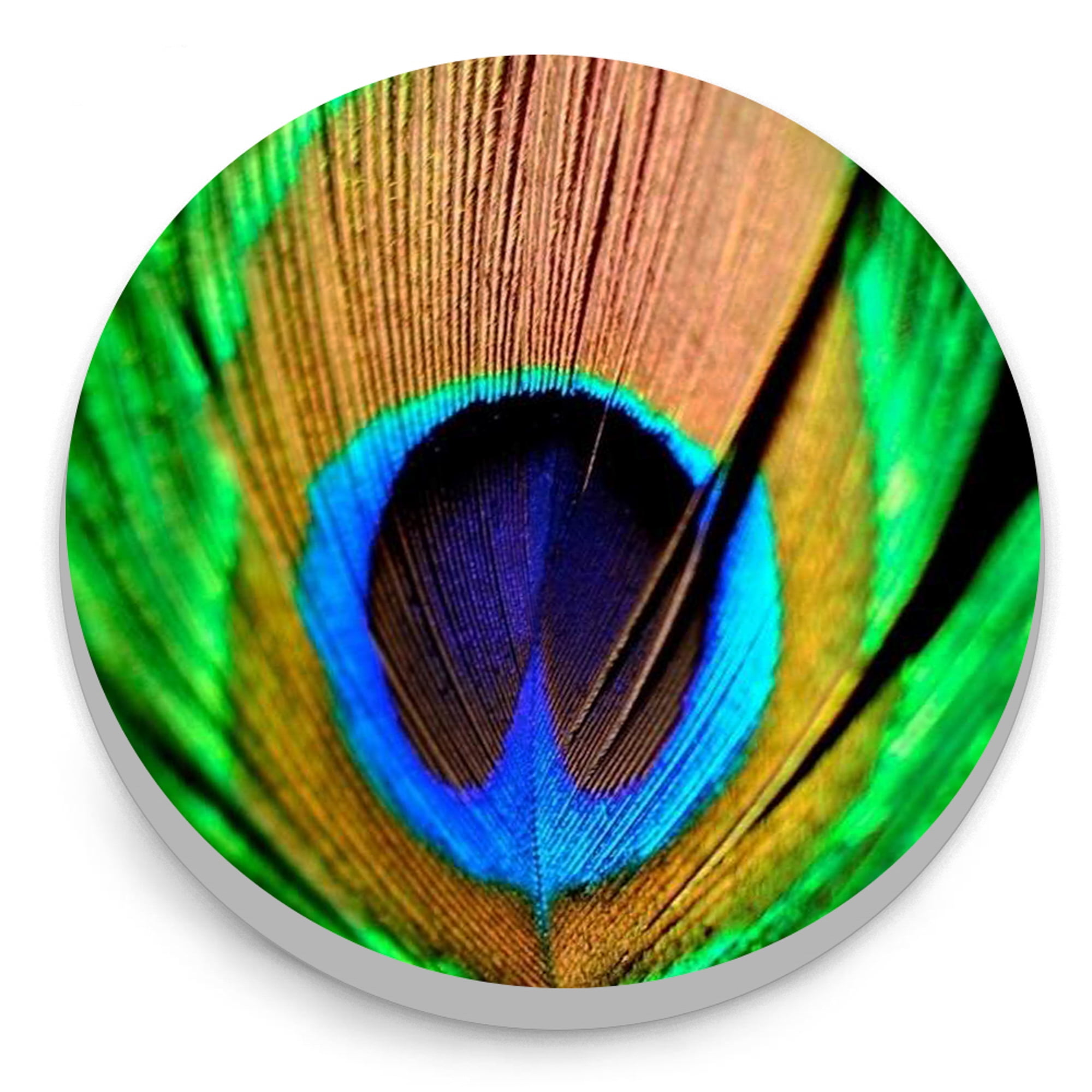 SNAPACCENTS Peacock Feather Painted Snap Jewelry Ginger Charm Button Fits Custom Necklaces, Bracelets