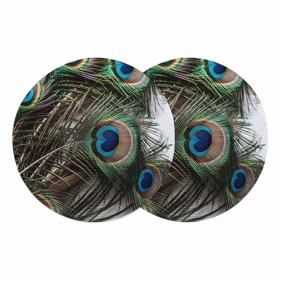 Peacock Feather Round 13 Inch Placemats Set of 2, Teal Blue Bird Feather Modern Art Printed HeatResistant Non Slip Place Mats for Dining Table, Wipeable Braided Kitchen Table Mats for Housewarming