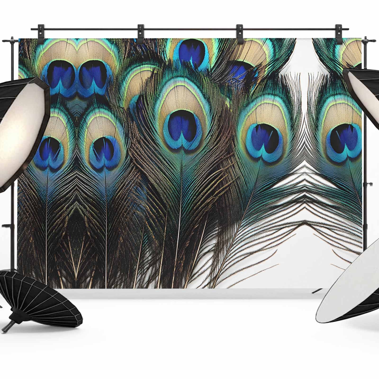 Backdrops Streaming Portrait Peacock Feathers Backdrop for Photoshoot,Photography Photo Studio ...